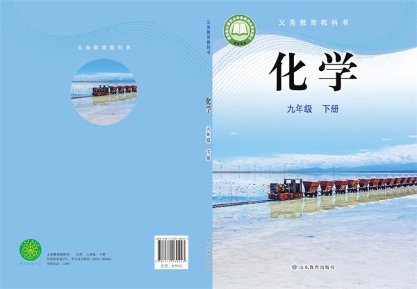最新【鲁教版】9年级化学课本•下册.pdf电子教材高清(84.76MB)-找题宝